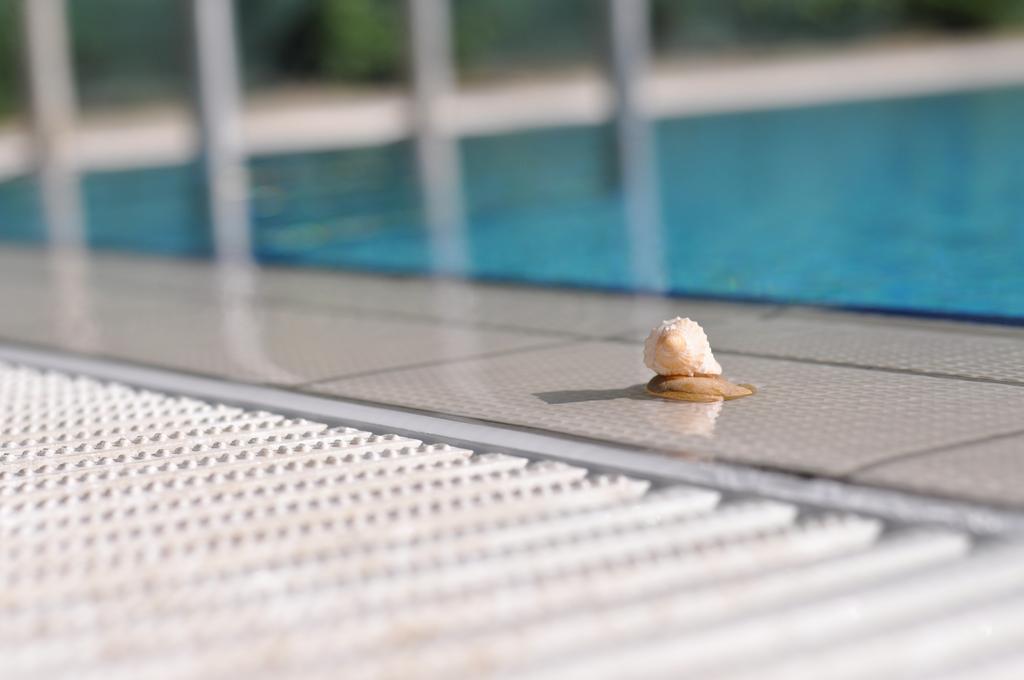 Aqua Wellness Apartments Hajdúszoboszló Oda fotoğraf